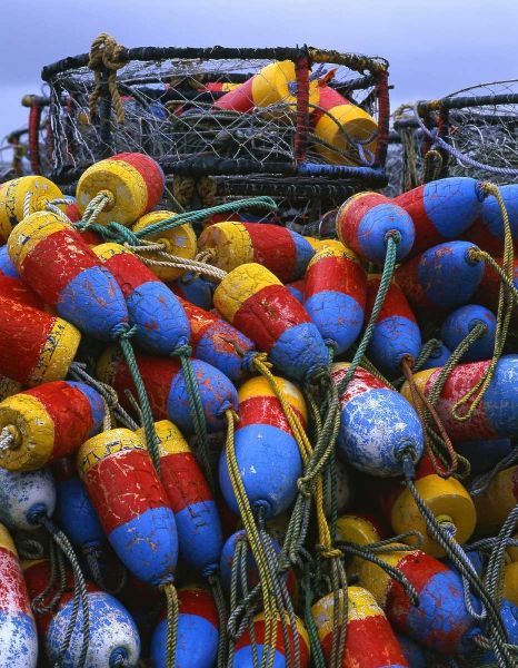 Oregon, Newport Crab rings and floats on dock